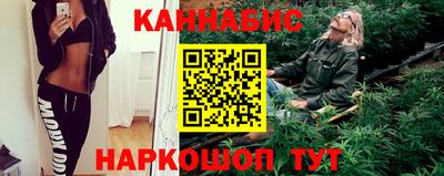 прущие грибы Кандалакша