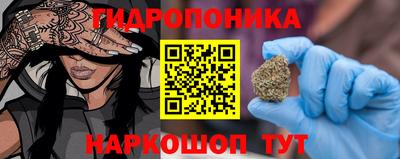 прущие грибы Кандалакша