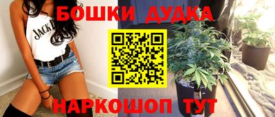 прущие грибы Кандалакша
